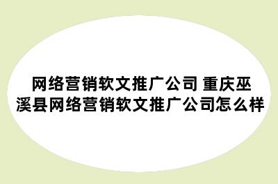 网络营销软文推广公司 重庆巫溪县网络营销软文推广公司怎么样